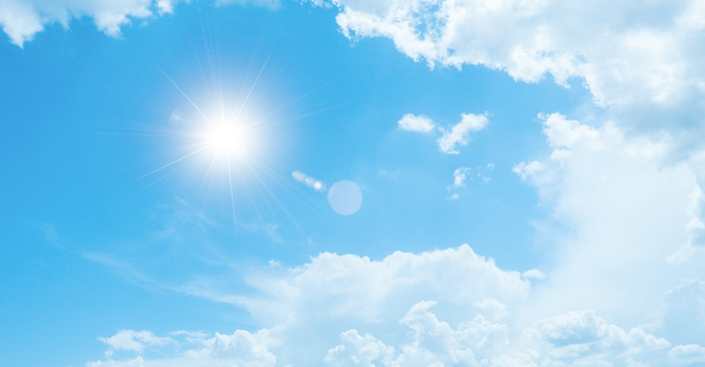 Are You Ready To Lead A More Vibrant Life?