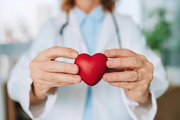 Men’s vs. Women’s Hearts: Key Differences That Matter